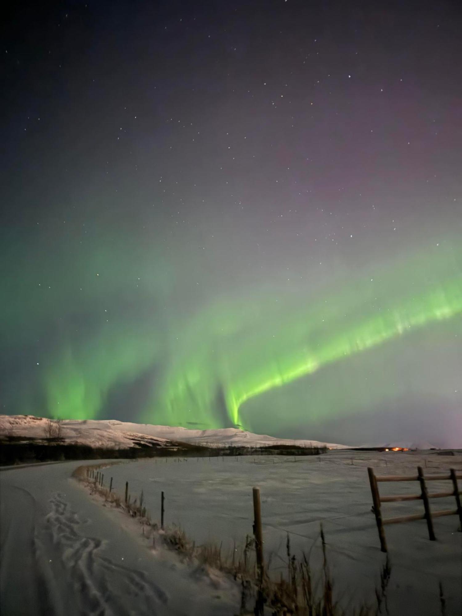 Hotel Kjarnalundur- Aurora Dream - Lodges And Rooms Akureyri Luaran gambar